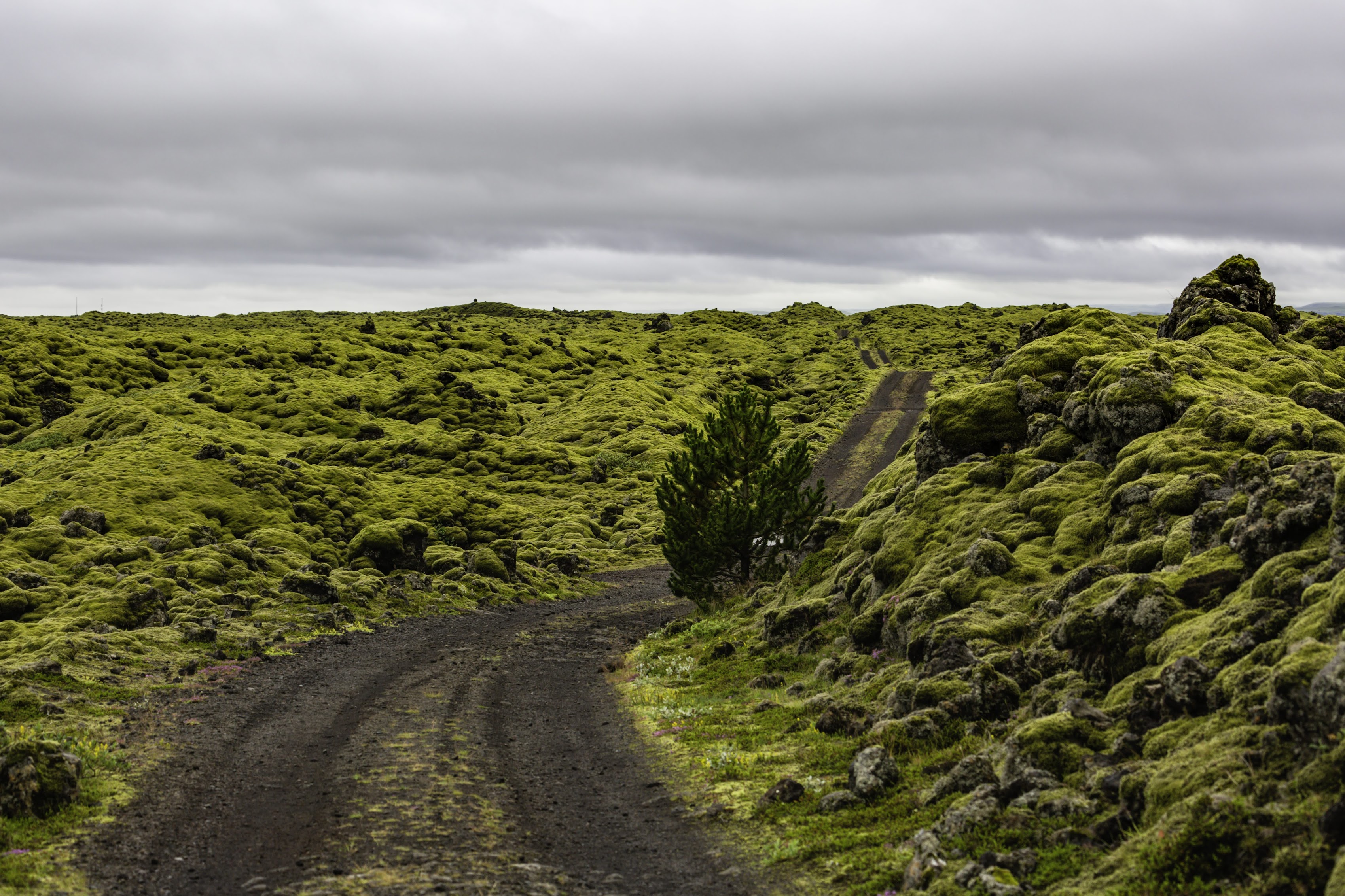 Исландия - родина слонов (архипелаг Vestmannaeyjar, юг, север, запад и Центр Пустоты)