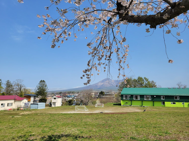 ノアの函館・桜・移動動物園・プチオフに関するカスタム事例の投稿画像4枚目