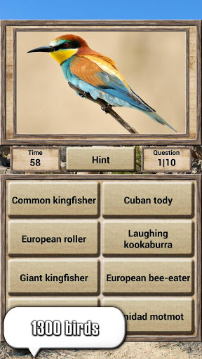 Screenshot Animal Kingdom - Quiz Game