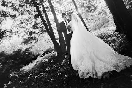 Svatební fotograf Andrey Teterin (palych). Fotografie z 9.října 2016