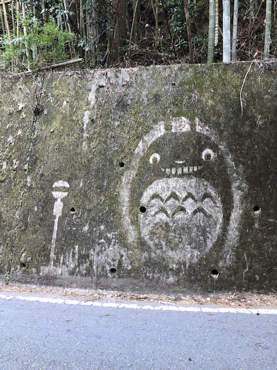 プリウスのドライブ・定峰峠に関するカスタム事例の投稿画像6枚目