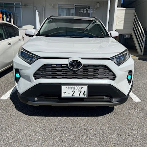 RAV4 MXAA54