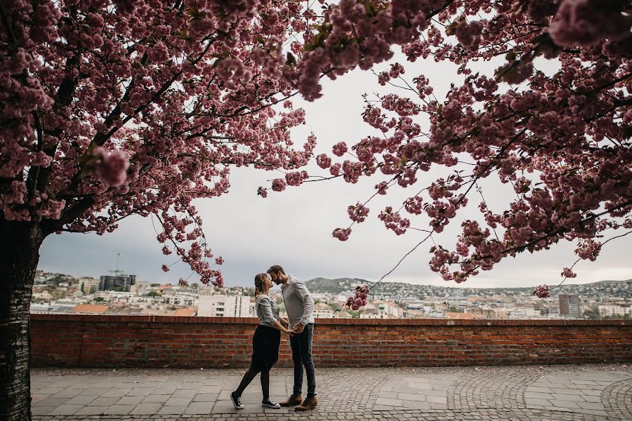 Fotografer pernikahan Virág Mészáros (awhjs). Foto tanggal 5 Mei 2020