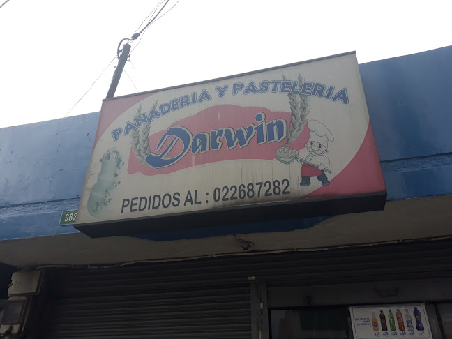 Opiniones de Panadería Y Pastelería Darwin en Quito - Panadería