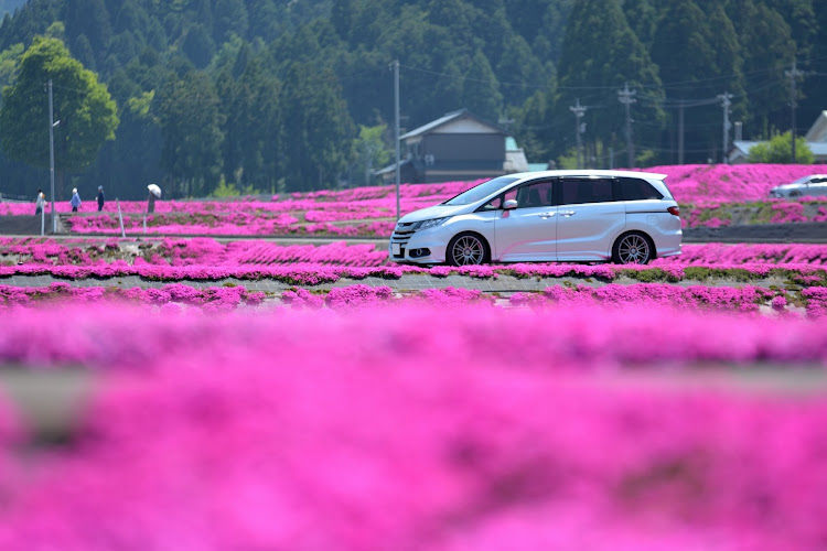 の投稿画像2枚目