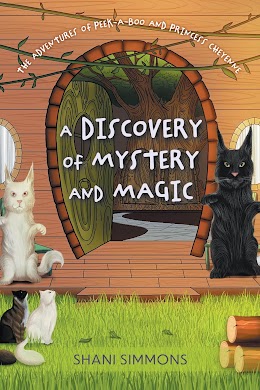 A Discovery of Mystery and Magic cover