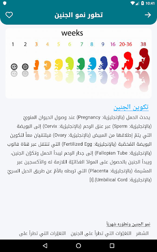 صحة ونوع الجنين