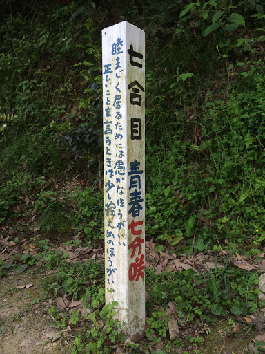 堂山登山道7合目