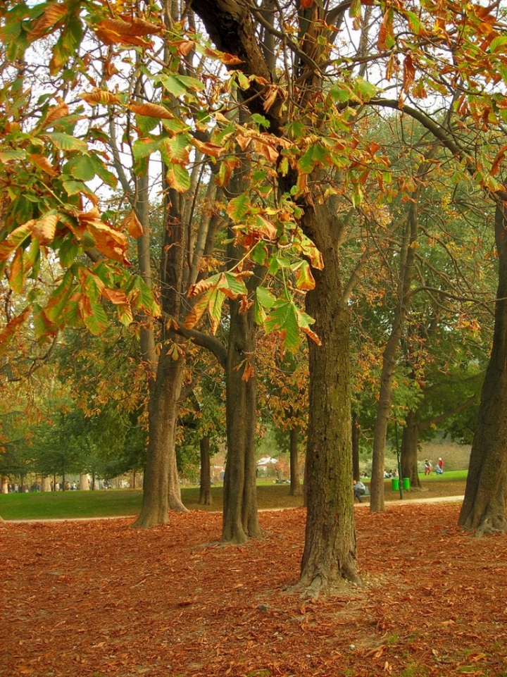 Autunno a Milano di lestat