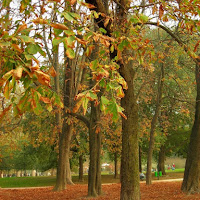 Autunno a Milano di 