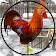 Chicken Shooter game of Chicken Shoot and Kill icon