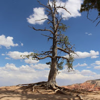 Al confine del Bryce Canyon di 