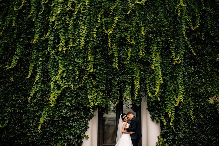 Fotografo di matrimoni Misha Danylyshyn (danylyshyn). Foto del 20 febbraio 2019