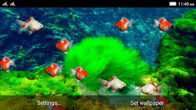 Aquarium Live Wallpaper Google Play のアプリ