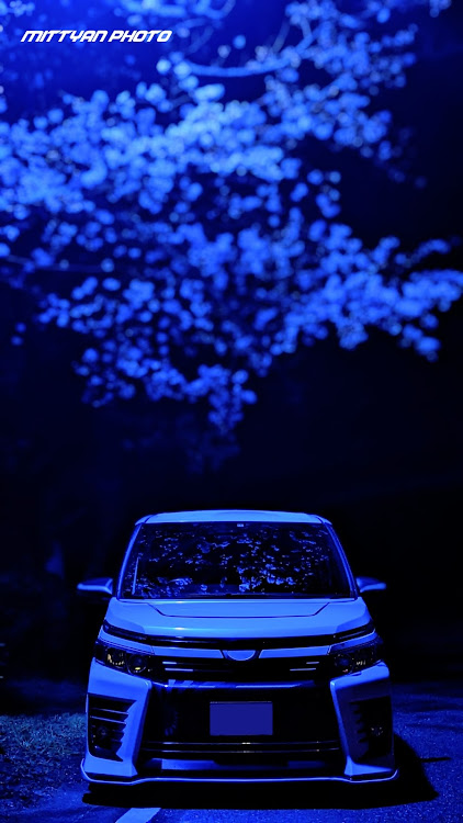 ヴォクシーの青い桜・桜コラボ・ナイトモード撮影・岡山に関するカスタム事例の投稿画像1枚目