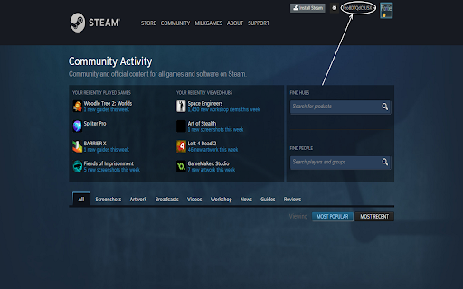 Steam Account Name Hider