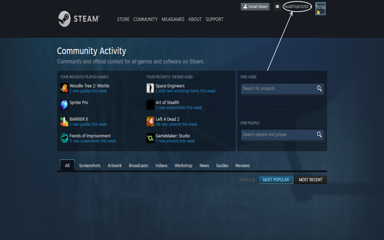 Steam Account Name Hider Preview image 1