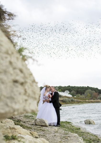 Fotografo di matrimoni Oksana Sinicina (ksuha). Foto del 31 maggio 2018