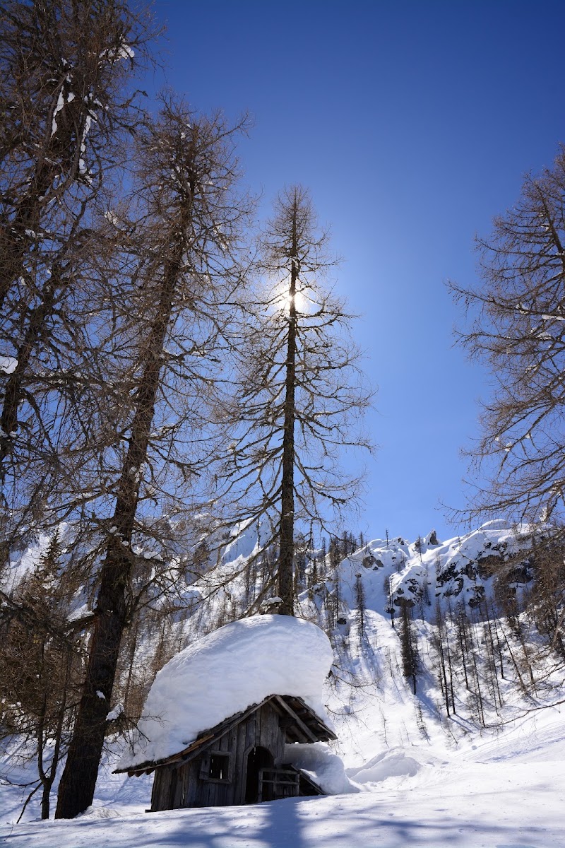 Quando il bianco dona di Riro