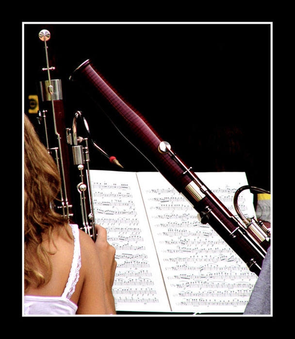 Partitura per fagotto di Massimo Genovesi