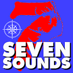 Logo of Seven Sounds Electric Feels