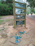 Some of the painted pebbles found in Table Mountain National Park.