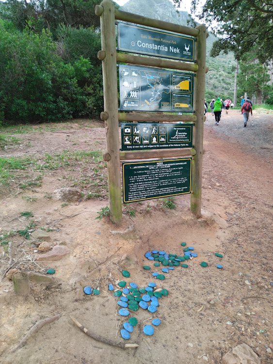 Some of the painted pebbles found in Table Mountain National Park.