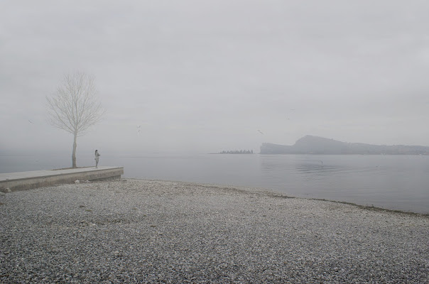 Nebbia e gabbiani di mariarosa-bc