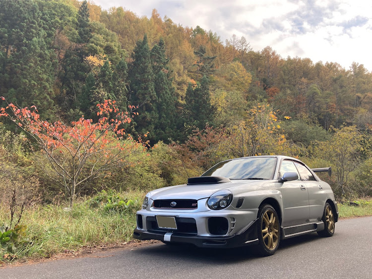 インプレッサ WRXの紅葉と愛車・秋・山奥・暇つぶしに関するカスタム事例の投稿画像1枚目