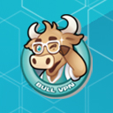 BullVPN - VPN Proxy Unlock Website & Security