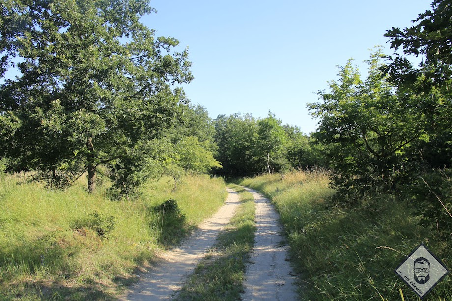 KÉP / Bármyilen hihetetlen, homokos talajon haladok