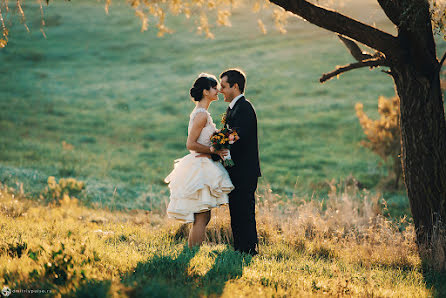 Photographe de mariage Dmitriy Puls (pulse). Photo du 21 décembre 2016