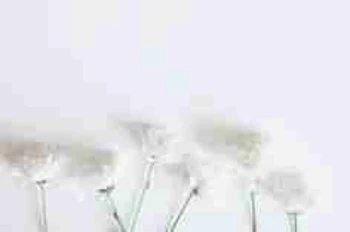 ☁ ~ 雑 談 ~ ᡣ𐭩