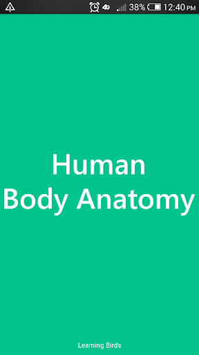 Human Body Anatomy 101