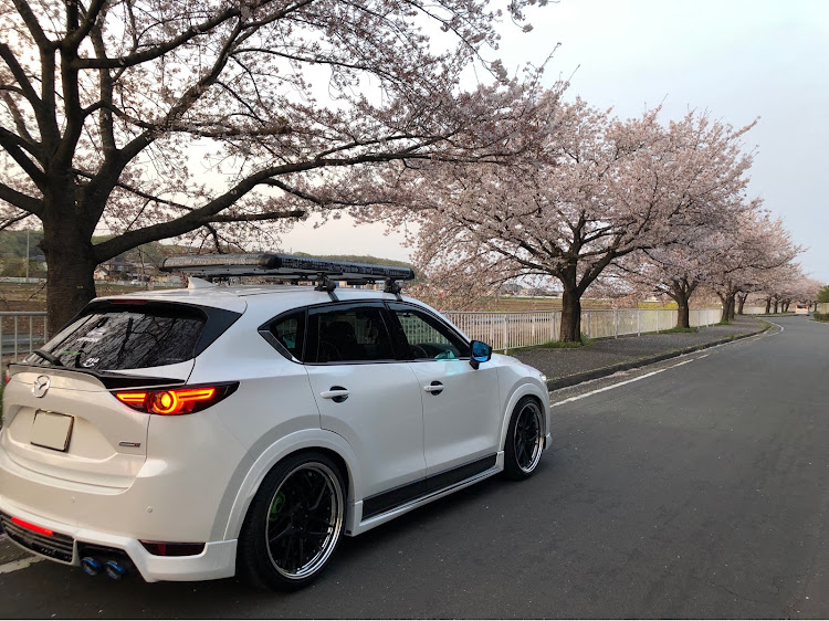 CX-5の桜と愛車・夕桜・花びらに関するカスタム事例の投稿画像7枚目