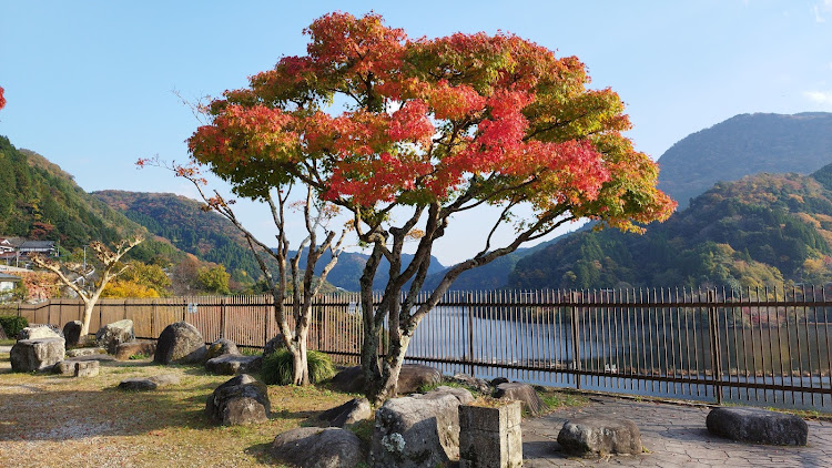 の投稿画像8枚目