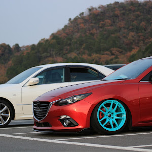 アクセラスポーツ BMEFS