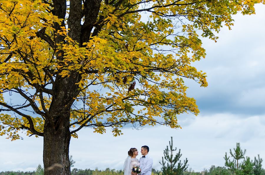 Photographe de mariage Denis Ostapuk (denostapuk). Photo du 3 novembre 2017