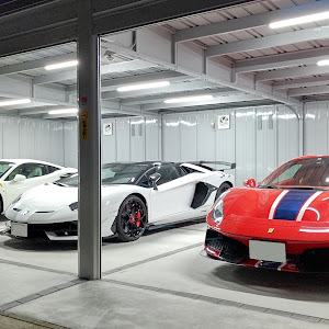 488ピスタスパイダー