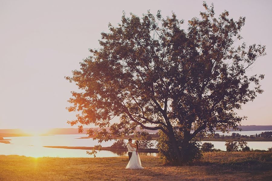 Fotograful de nuntă Svetlana Stepanova (iellayn). Fotografia din 12 august 2014