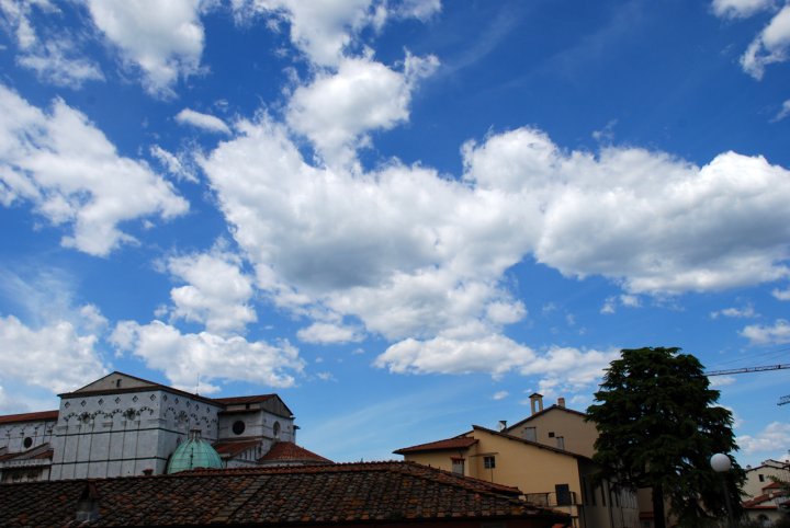 Batuffoli su Lucca di franca111