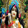 Kunj Bihari Aarti Free icon