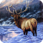 Cover Image of Unduh Deer HD Wallpaper 1.01 APK