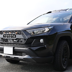 RAV4 MXAA54