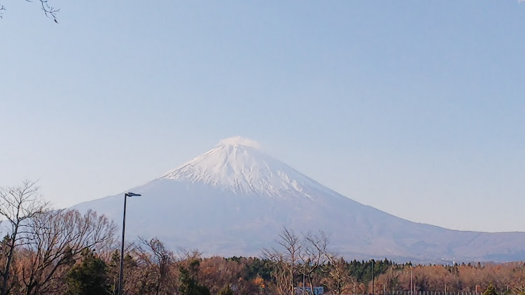 の投稿画像3枚目