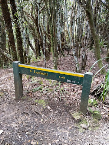 Karioi Lookout Point