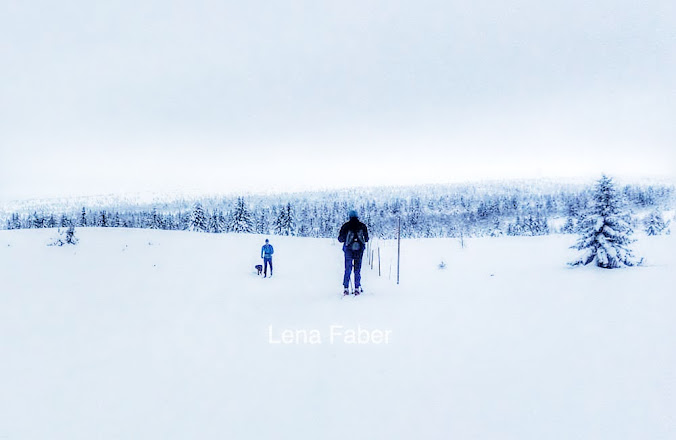 Photo: Skiing in Hornsjo