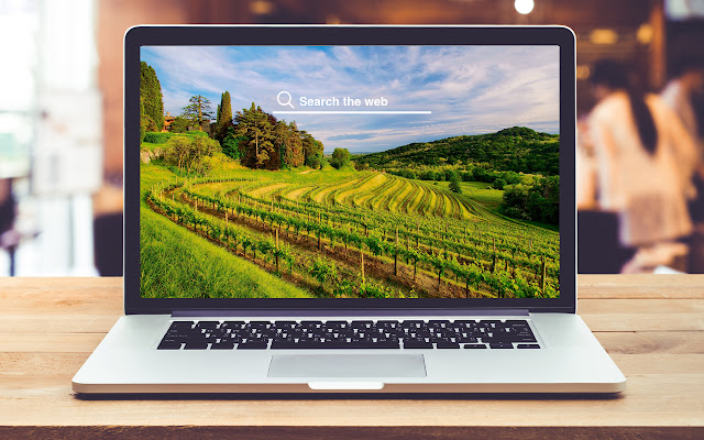 Vineyards HD Wallpapers Background Theme