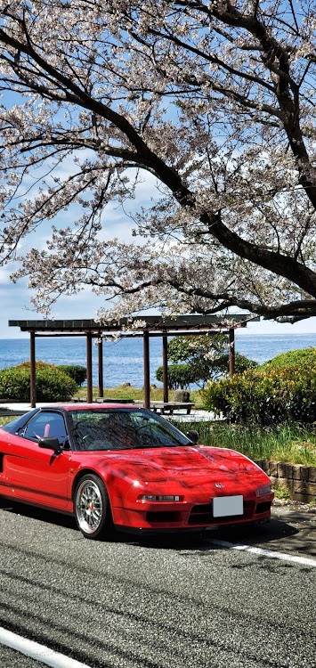 NSXのランディ　セナさんが投稿したカスタム事例の投稿画像1枚目