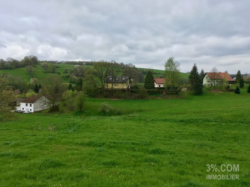 Vente terrain  1393 m² à Walschbronn (57720), 29 500 €